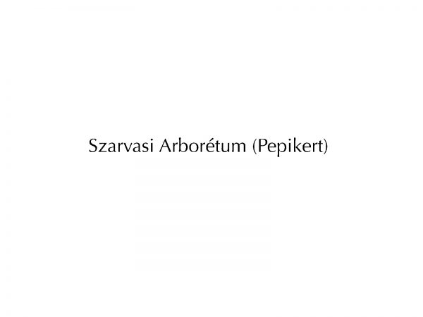 Szarvasi_arboretum